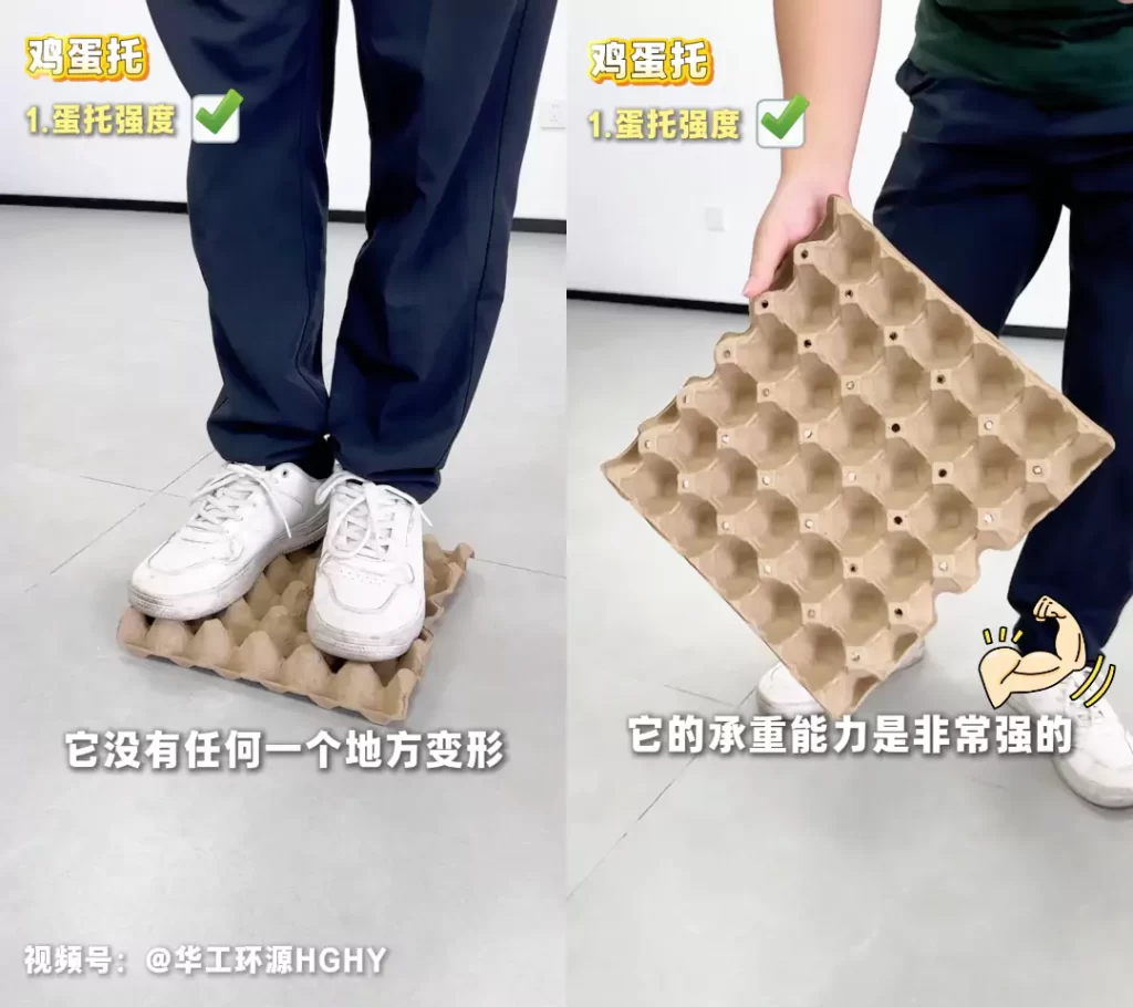 工艺赋能品质:万搏手机版鸡蛋托的场景化革新插图2 工艺赋能品质:万搏手机版鸡蛋托的场景化革新插图2