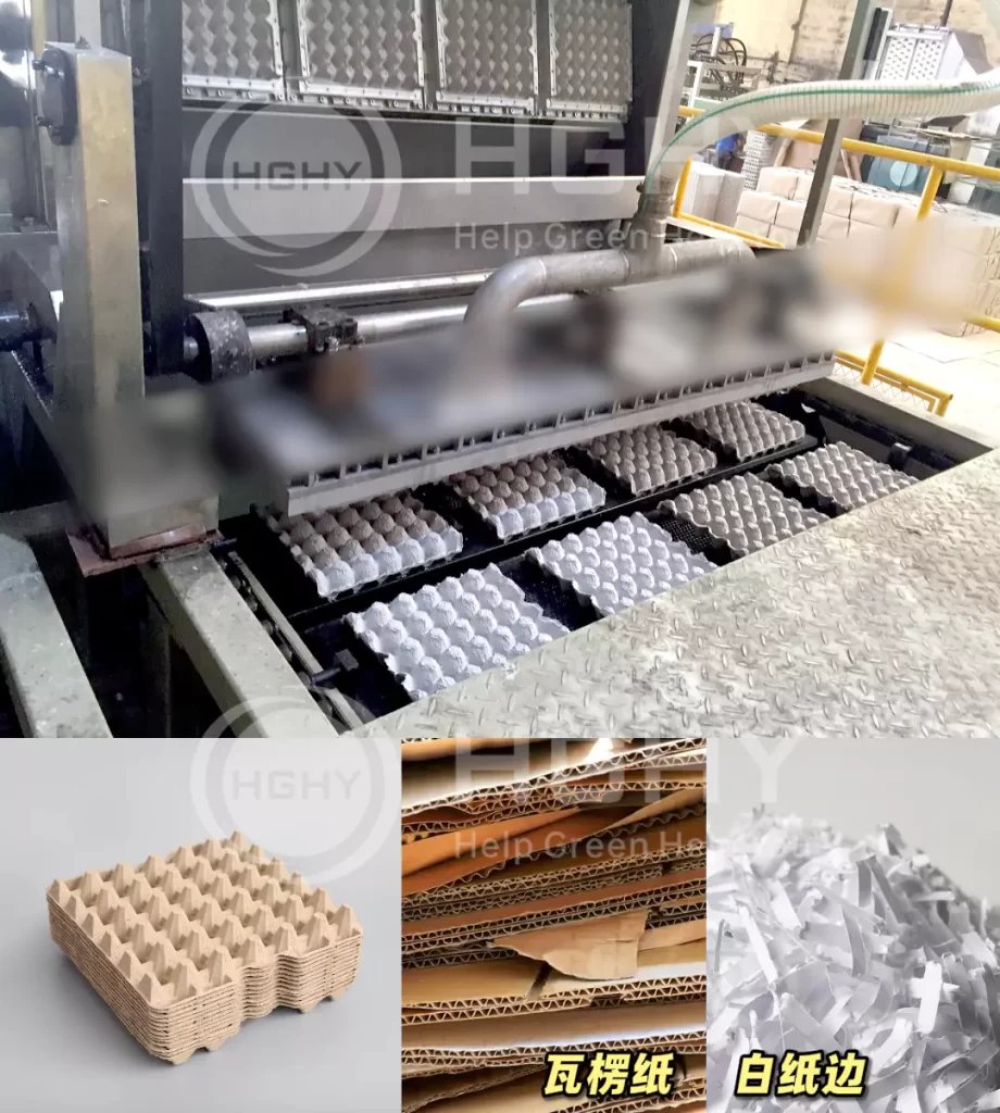 工艺赋能品质:万搏手机版鸡蛋托的场景化革新插图3 工艺赋能品质:万搏手机版鸡蛋托的场景化革新插图3