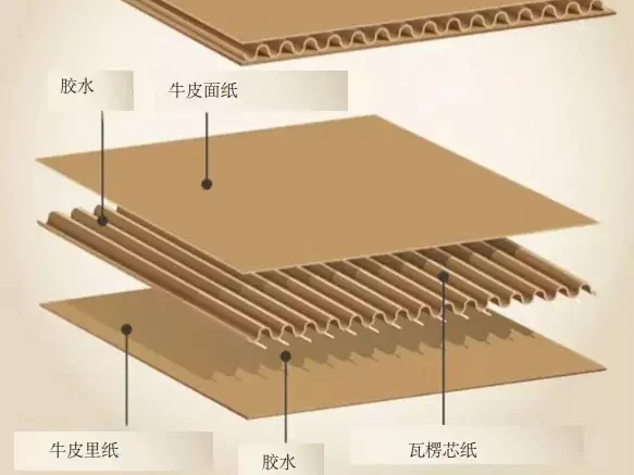 3分钟读懂万搏手机版!与瓦楞纸箱的优劣对决插图3 3分钟读懂万搏手机版!与瓦楞纸箱的优劣对决插图3