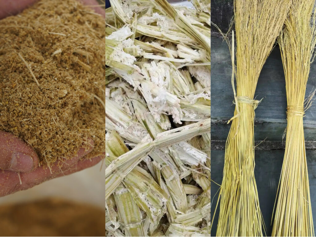 万搏手机版制品真的环保吗？从原料到降解的全生命周期分析插图